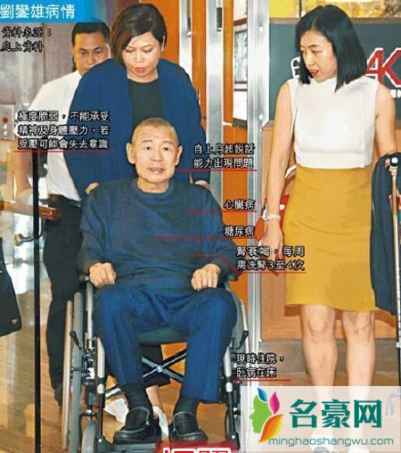 刘銮雄二房甘比再孕 刘銮雄甘比近况