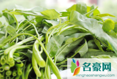 空心菜为什么不能切 空心菜怎么挑