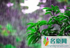 2022清明节前后会有冷空气吗 清明前后的天气是什么