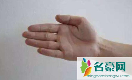 腻子粉刮好后掉粉怎么办1