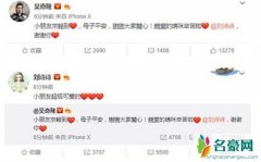 刘诗诗方辟谣抑郁 刘诗诗产后为什么一直不露面