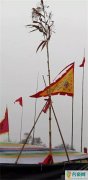 山村惊现“神高粱”引村民祭拜 5.7米神高粱竟是自