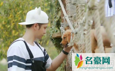 罗志祥畅想自己孩子会像青克乐一样 《小手牵小狗》已经升级为最强挑战