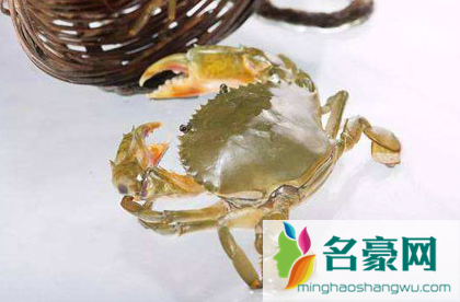 青蟹活的直接速冻可以吗2