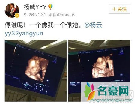 杨威喜获双胞胎 杨阳洋开心做哥哥