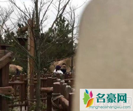 杨紫秦俊杰牵手游游乐园 网友喊话张一山