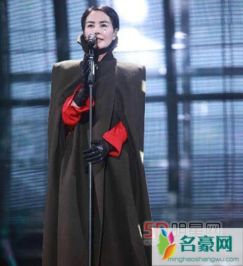 龚琳娜和老公评论引起王菲粉丝围攻 两人心平气和不怕骂