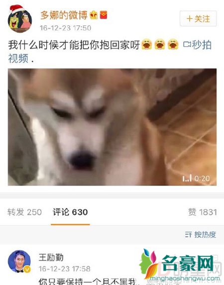 王励勤与老婆的恩爱日常被曝光 现实版黑粉娶回家
