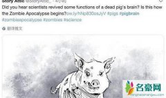 成功复活猪脑死亡 只不过是夸大的哗众取宠的新闻