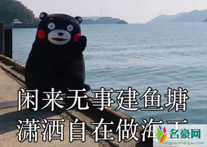 广撒网，多捕鱼