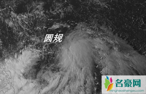 台风圆规会影响温州吗1