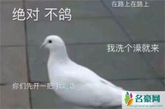 鸽子的反义词是知更鸟 评论咕咕咕是什么意思