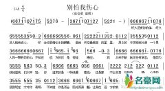 别怕我伤心张肯肯完整版 别怕我伤心张肯肯歌词含