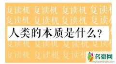 人类的本质是鸽子还是复读机 人类的本质是什么意