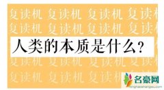 人类的本质是鸽子还是复读机 人类的本质是什么意