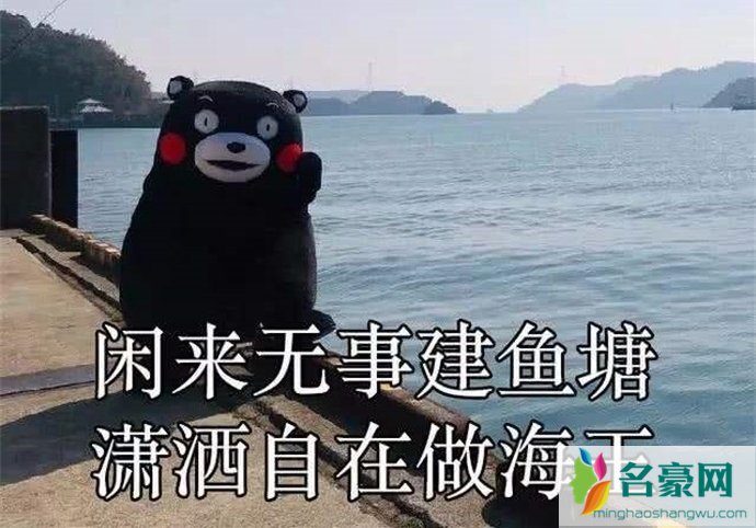 海王梗被做成表情包图片