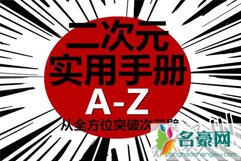 这种二次元宅男，活该没有女朋友第23张