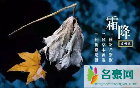 2021霜降当天会不会冷3