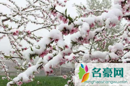 2022年3月份会不会下雪3