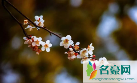 今年过年立春了吗20221