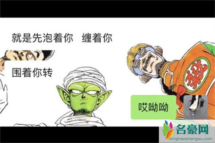 洗衣机式爱情案例