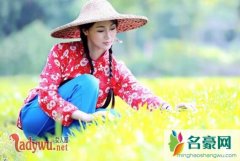 难忘的一次下乡体验，和乡村农妇玉米地里的那些事