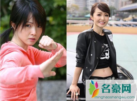 精武门甄子丹妹妹 甄子丹老婆妹妹