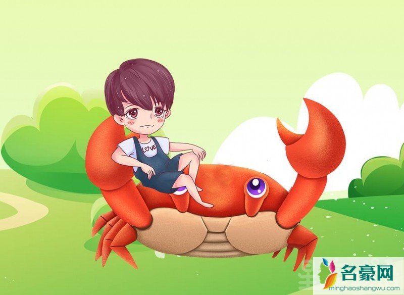 怎么追巨蟹男