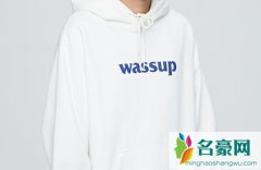 为什么这么多人喷wassup-wassup为什么这么火