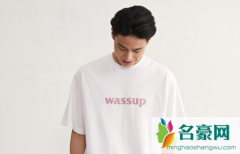 wassup什么牌子-广州wassup实体店在哪