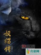 黄轩张雨绮张天爱妖猫传再曝新剧照 阿部宽刘昊然