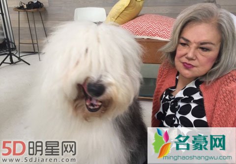 香港演员邵音音整走样 这样的后果你还在尝试吗