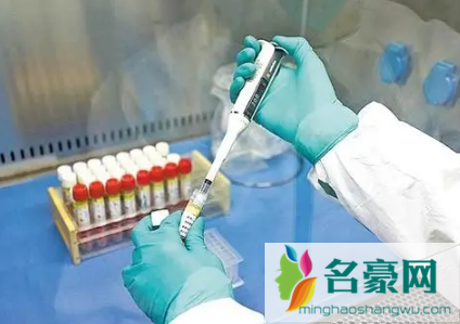 2022春节去上海需要做核酸检测吗2