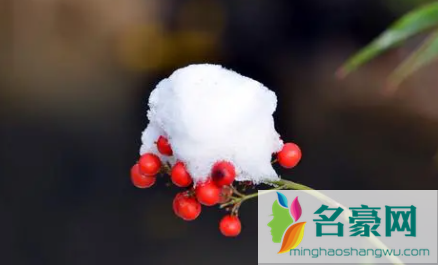 小雪节气打雷有什么说法20213