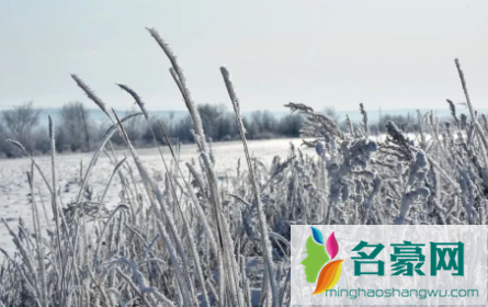 小雪节气打雷有什么说法20212