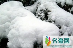 2022上海下雪一般在几月份 上海冬季会不会下雪