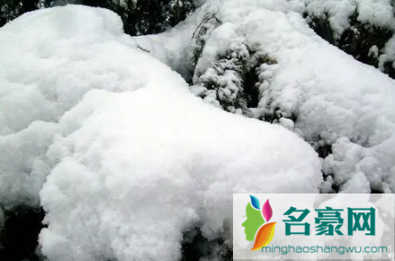 2022上海下雪一般在几月份1