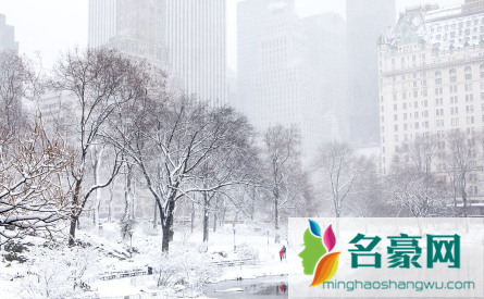 2022上海下雪一般在几月份3