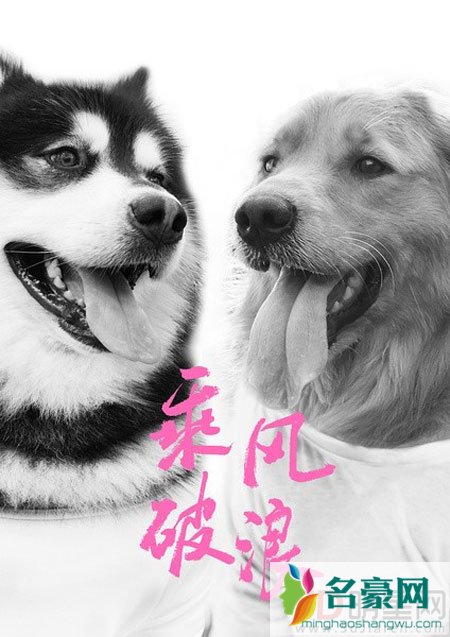 彭于晏确认加盟《乘风破浪》 韩寒新电影全员聚齐