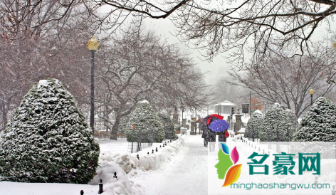 2022年武汉冬天下雪吗2
