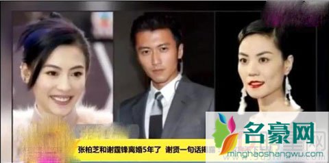 张柏芝带儿子旅行心情好 疑谢贤反对谢霆锋王菲再婚