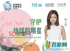 林心如公益声援视频曝光 林心如产后首亮相为公益