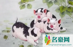 2022年是属猪的坎吗 2022年属猪的多大年龄