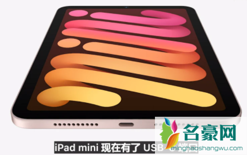 ipadmini6充电口是什么样的2