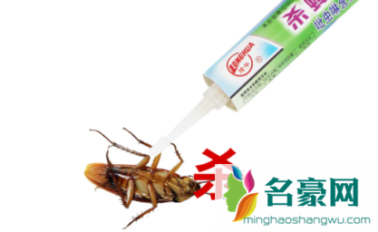 杀蟑胶饵使用方法图解1