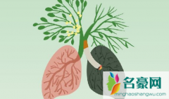 2021世界慢阻肺日是哪一天 2021是第几个世界慢阻肺日