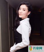 林忆莲加盟歌手 歌手首发阵容初步曝光