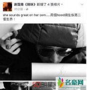 王菲演唱会一波多折 谢霆锋发文疑支持