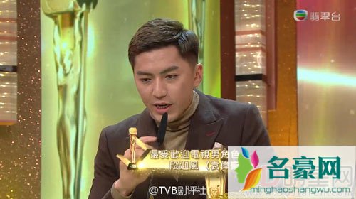 tvb台庆2016获奖名单 城寨英雄成大赢家