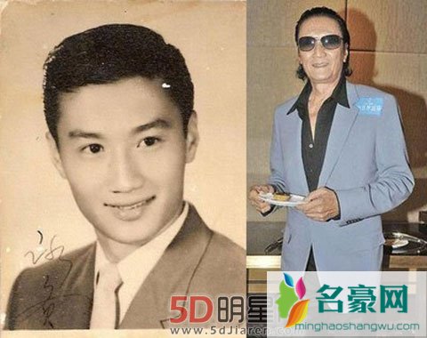 谢贤否认女友怀孕事件 谢霆锋会再有小妹妹吗？